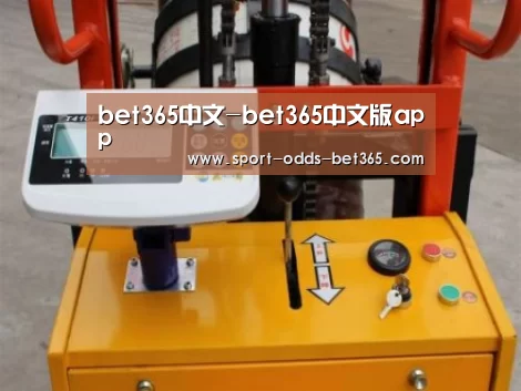 bet365中文案例展示三