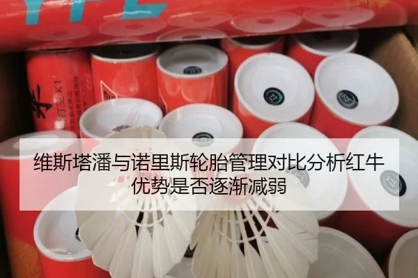 维斯塔潘与诺里斯轮胎管理对比分析红牛优势是否逐渐减弱